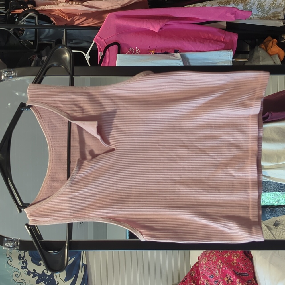 Pink Ribbed Seamless Crop Top